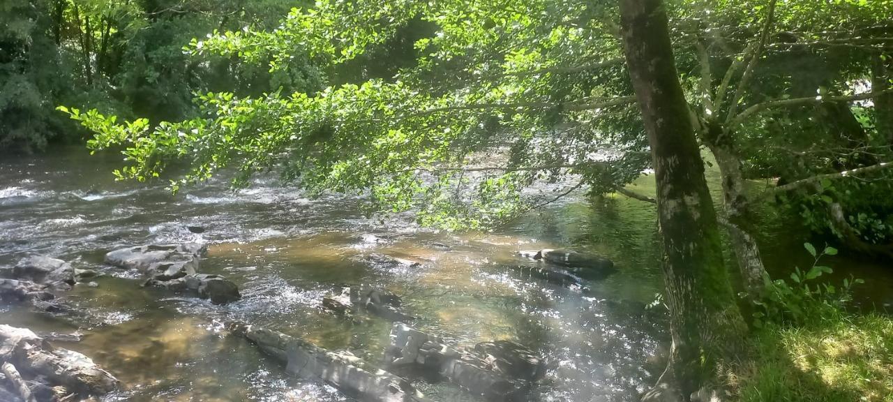 Les Berges Du Cele Hotel Bagnac Kültér fotó